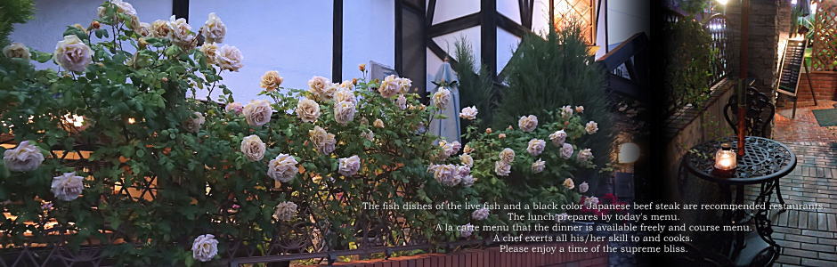 ﾚｽﾄﾗﾝ　ササキ